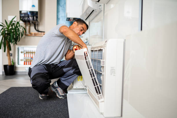 Best Air Duct Mold Removal  in Ladonia, AL